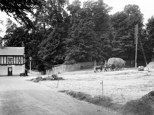 The crossroads pheasant - crossroads, at