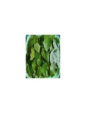 50 x ORGANIC FRESH BAY LEAVES LARGE & HIGHLY AROMATIC! *BUY 4 PACKS GET 1 FREE!!