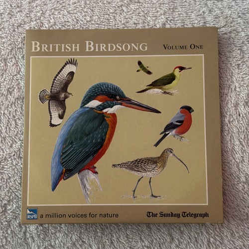 Promo artist british - no,