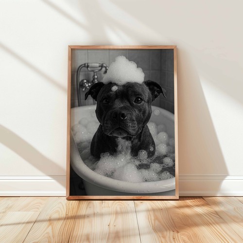Staffy dog bath - staffy,