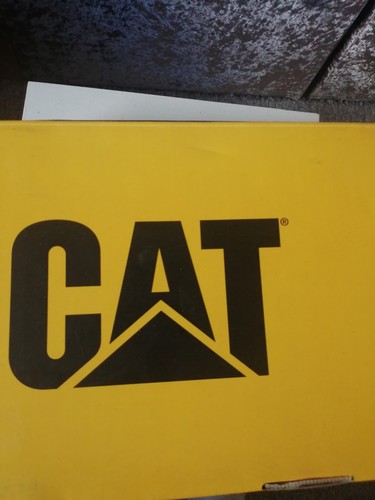 Cat chunky shoes - cat,
