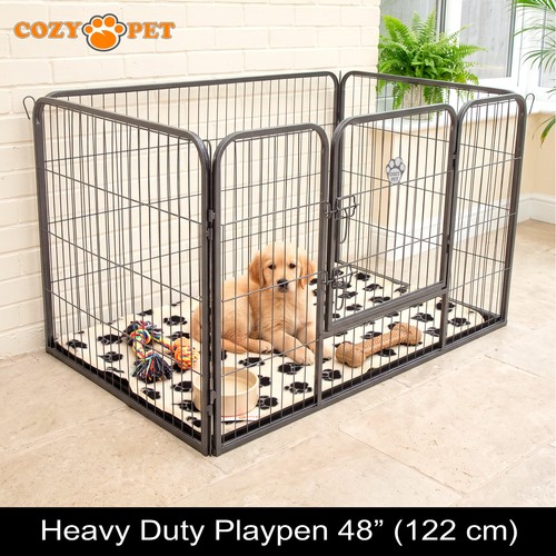 Cozy heavy duty - duty, dog