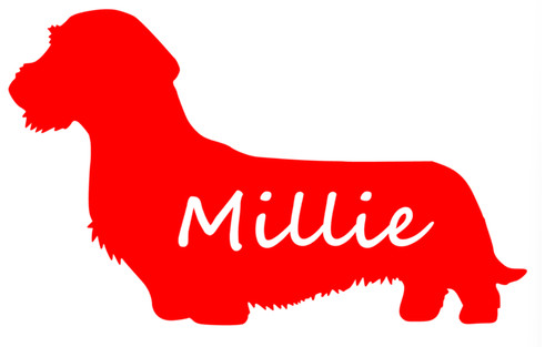 Personalised wire haired - wire,