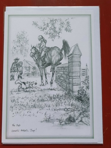 Show jumping horse - show,