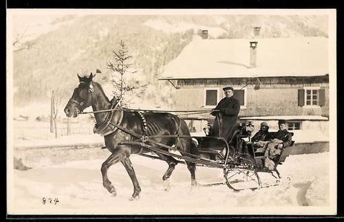 Photo horse drawn - horse-drawn, sleigh