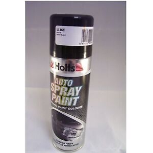 Holts professional car satin - holts,