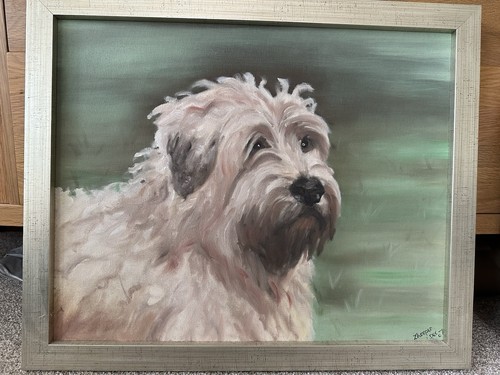 Soft coated wheaten terrier - soft,