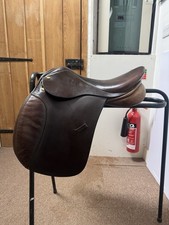 Collegiate Protégè Saddle