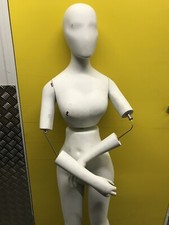 A Range Of Female And Male