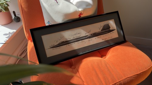 Signed blackbird print - signed,