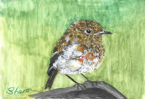 Baby robin log watercolour - robin,