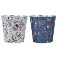 Tin pail robin floral plant - tin,