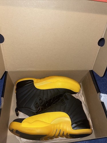 Air jordan retro - 12, university