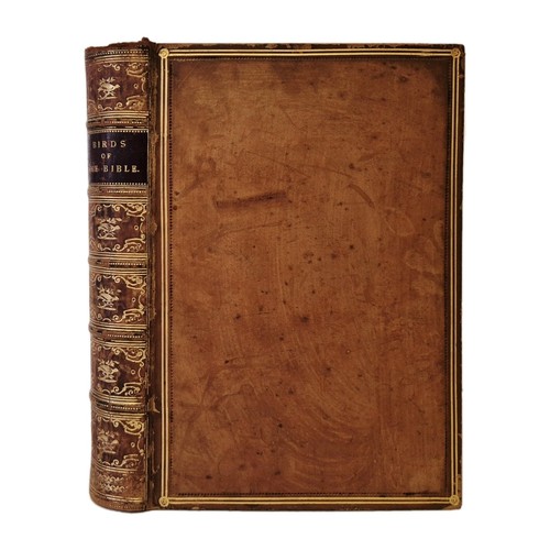 1887 birds the bible - bible,