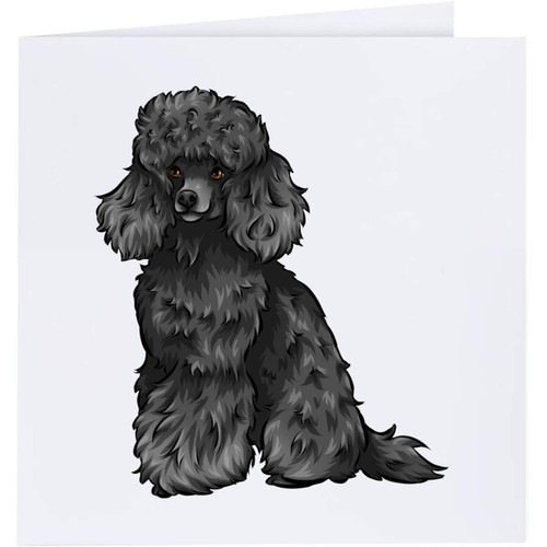 Black toy poodle greeting - toy, /