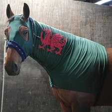GREEN Proud to be Welsh  horse