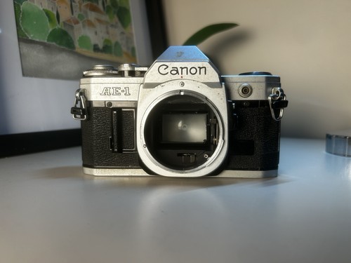 Canon 35mm slr film - 35mm,