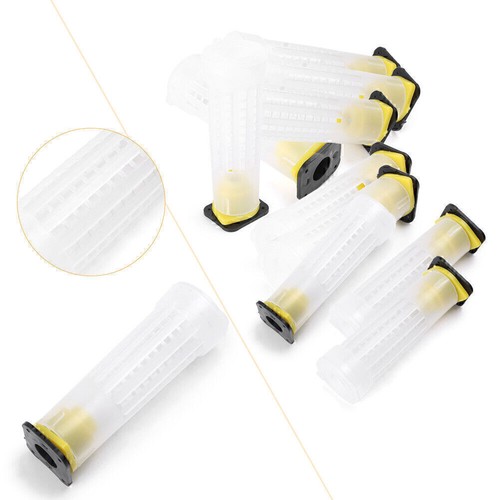 Pcs beekeeping rearing cup - pcs,