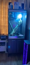 Reptile vivarium tall - tall, large