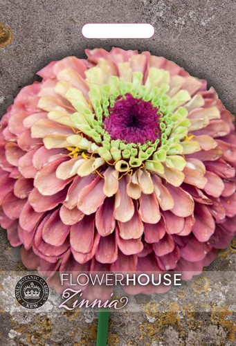 Thompson morgan kew flower - &,
