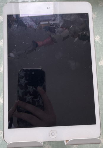 Used apple ipad - apple, mini