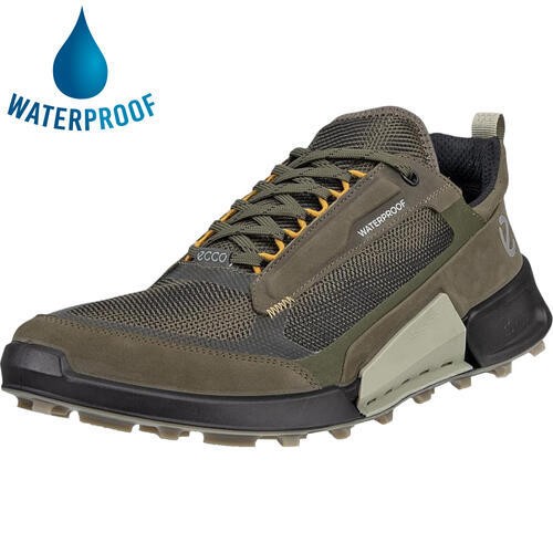Ecco biom mountain mens - 2.1,