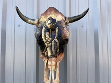 STEER SKULL Painted 18 Inch