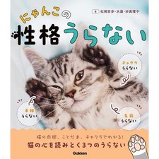 I Don't Like Cat Personality