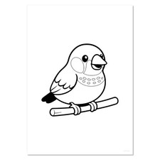 'Zebra Finch' Wall Posters /