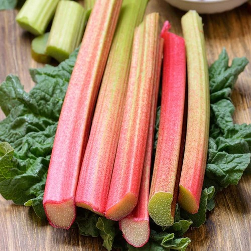 Rhubarb crown bare roots - bare,