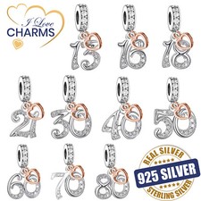 💝 Birthday Gift Charm 13th