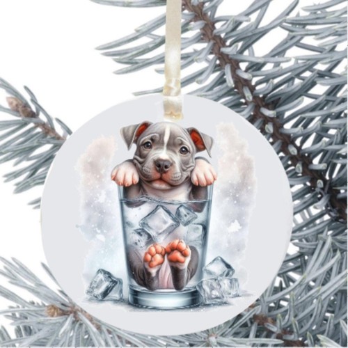 Staffordshire bull terrier - staffordshire,