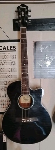 Ibanez acoustic electric - acoustic,