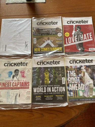 Unopened cricketer - 10,