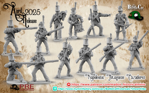 28mm napoleonic portuguese - 28mm,