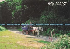 D296312 New Forest. The Burley