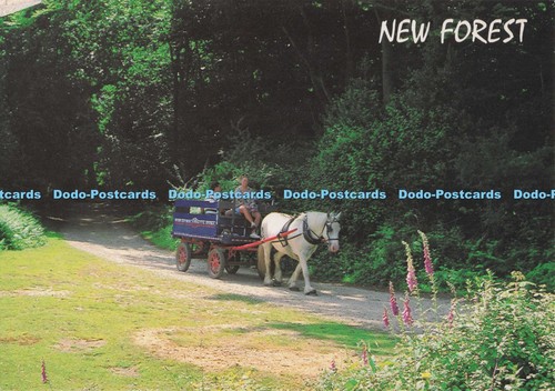 D296312 new forest the burley - forest.,