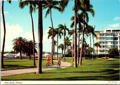 Palm beach boat - beach, bicycle