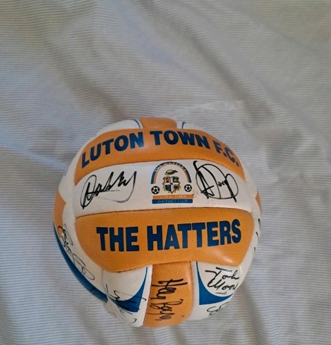 Luton town 1998 - luton, 1998/99