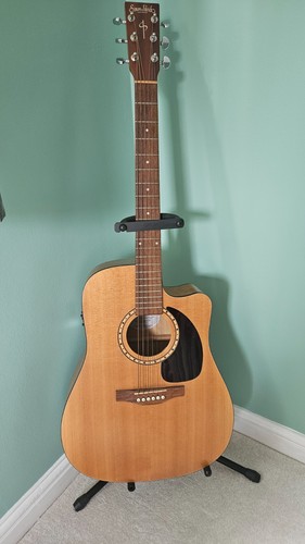 Acoustic guitar simon - simon, and