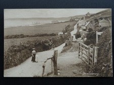 Cornwall DOWNDERRY Animated Scene through farm field gates c1905 Postcard