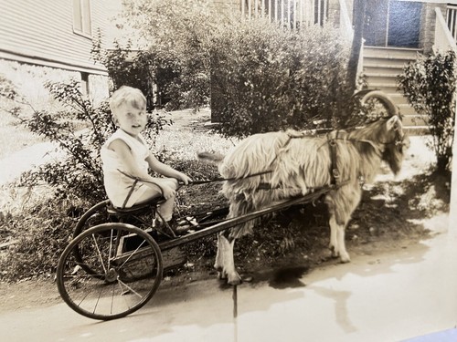 Vtg 1931 smiling billy - smiling,