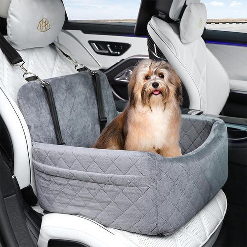 Crash tested dog car - tested,