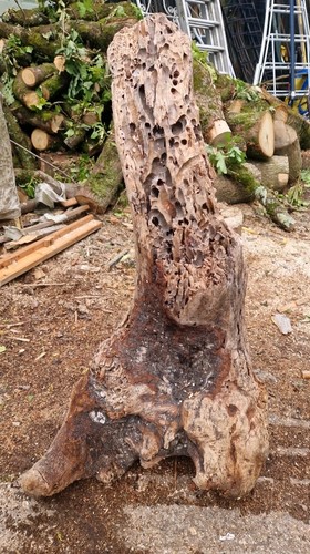 Large jurassic coast - jurassic,