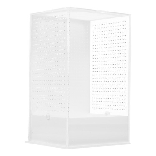 Spider box climbing pet - spider,