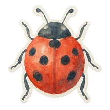 Ladybug 9x9cm Car Decal