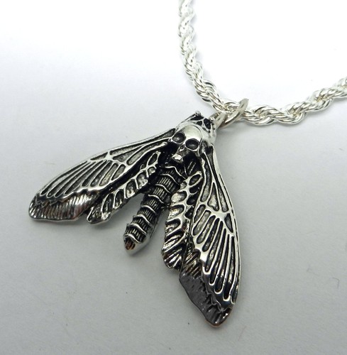 African death head hawkmoth - african,