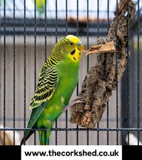 CORK BARK FLATS MIX 1kg BUDGIE