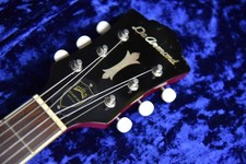 DeArmond  Starfire Special