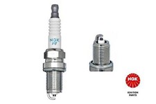 Spark Plug NGK Fits ASTON